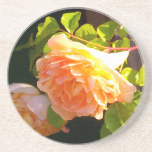 Country Peach Roses Coaster