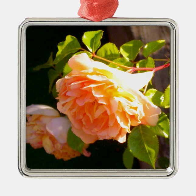 Country Peach Roses Metal Ornament (Front)