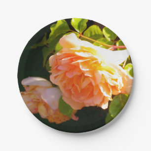 Country Peach Roses Paper Plate