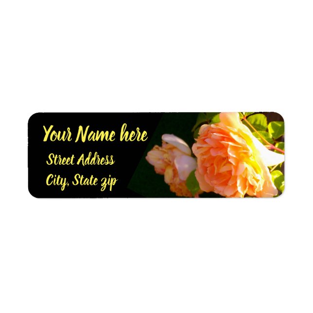 Country Peach Roses Return Address Label (Front)