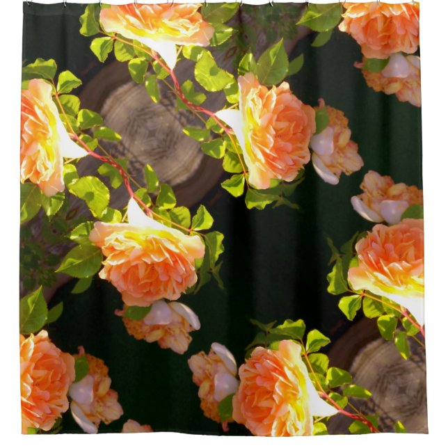Country Peach Roses Shower Curtain (Front)