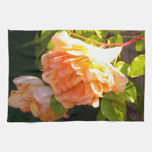 Country Peach Roses Tea Towel