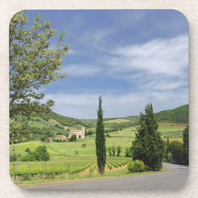 Country road curving between cypress trees in coaster (Front)