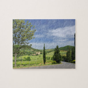 Country road curving between cypress trees in jigsaw puzzle