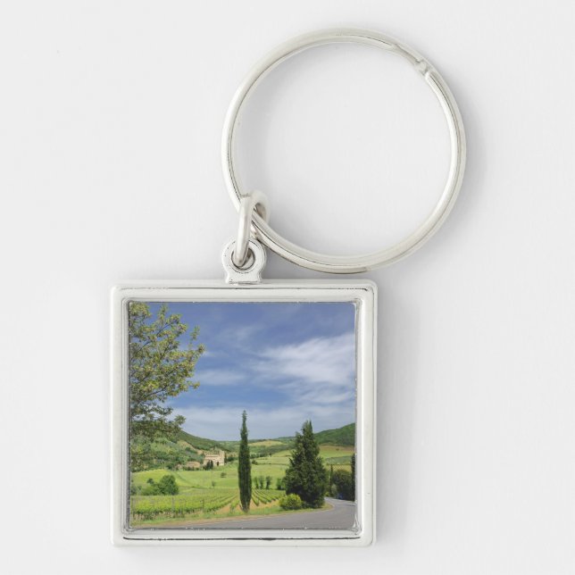 Country road curving between cypress trees in key ring (Front)