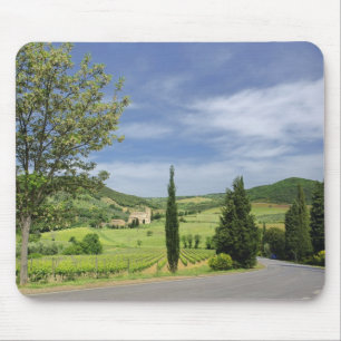 Country road curving between cypress trees in mouse pad