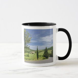 Country road curving between cypress trees in mug