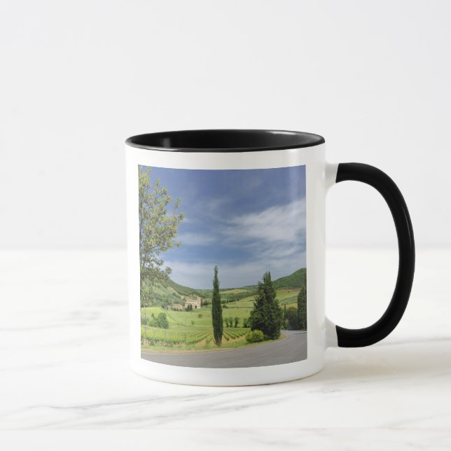 Country road curving between cypress trees in mug (Right)