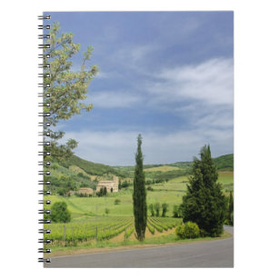 Country road curving between cypress trees in notebook