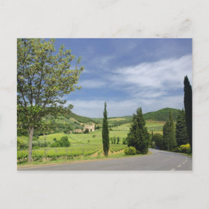 Country road curving between cypress trees in postcard