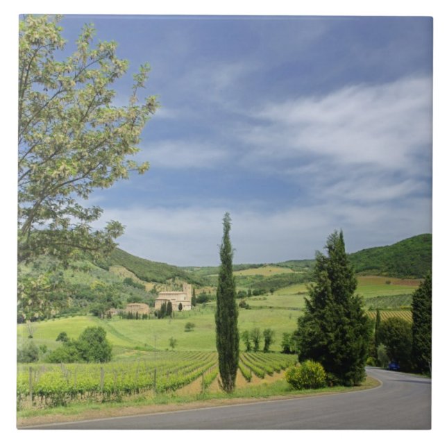 Country road curving between cypress trees in tile (Front)