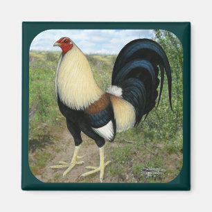 Country Road Gamecock Magnet
