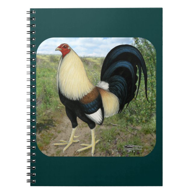 Country Road Gamecock Notebook (Front)