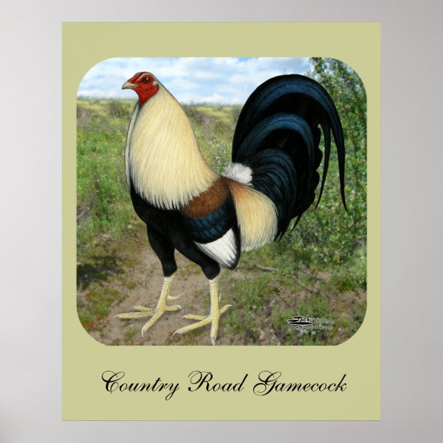 Country Road Gamecock Poster (Front)