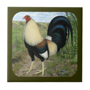 Country Road Gamecock Tile