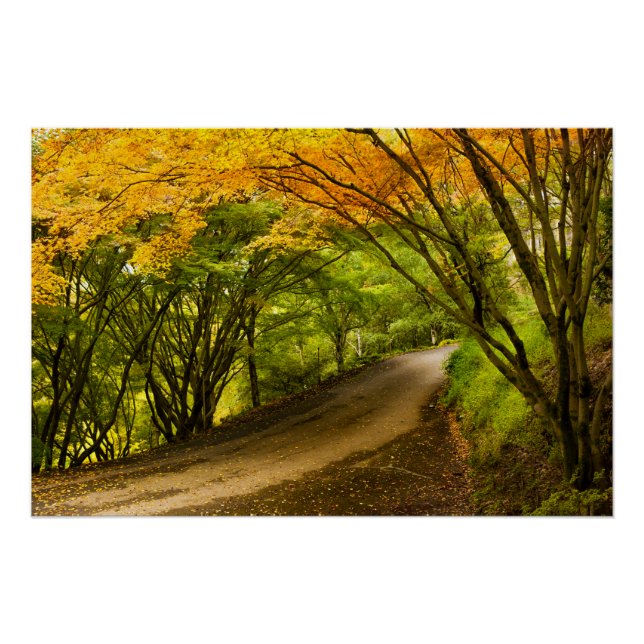Country Road in the Fall Poster (Front)