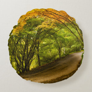 Country Road in the Fall Round Cushion