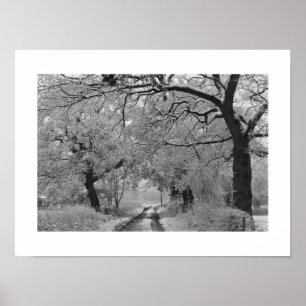 Country Road in Winter: Cheshire, England  Poster
