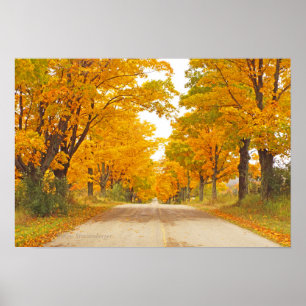 "COUNTRY ROAD LINED WITH MARIGOLD-COLORED TREES" POSTER