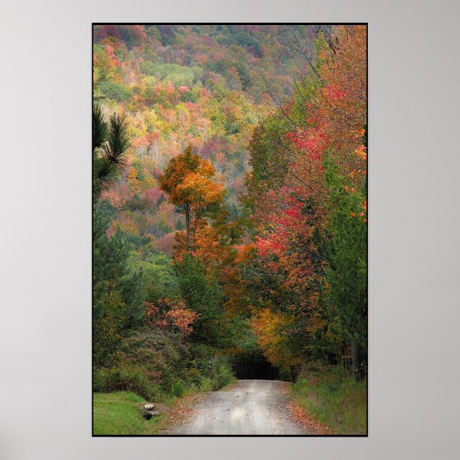 Country Road Poster (Front)