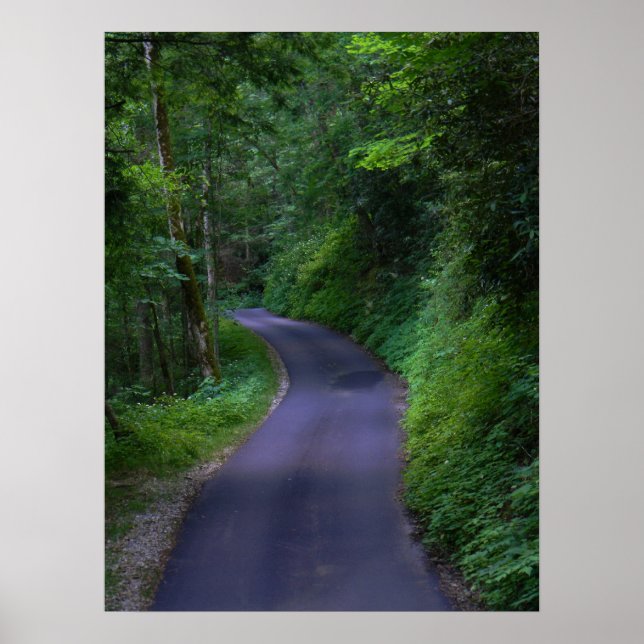Country Road Poster (Front)