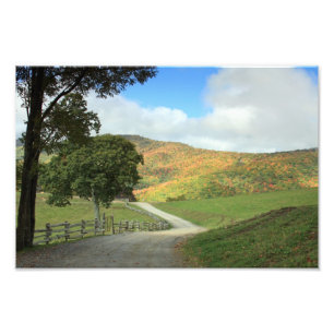 Country Road Print