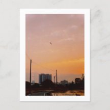 country road sunset Spring 