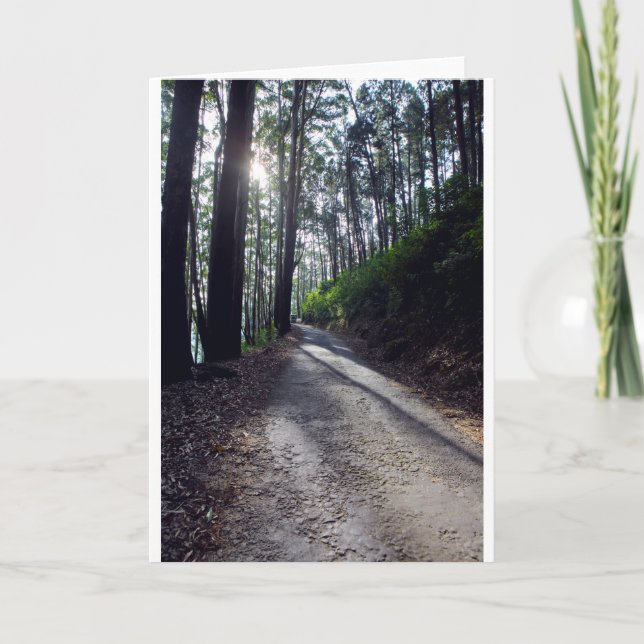Country road through forest card (Front)
