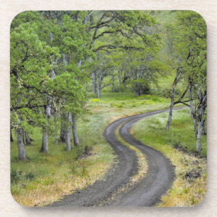 Country road through trees, Oregon Coaster