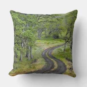 Country road through trees, Oregon Cushion