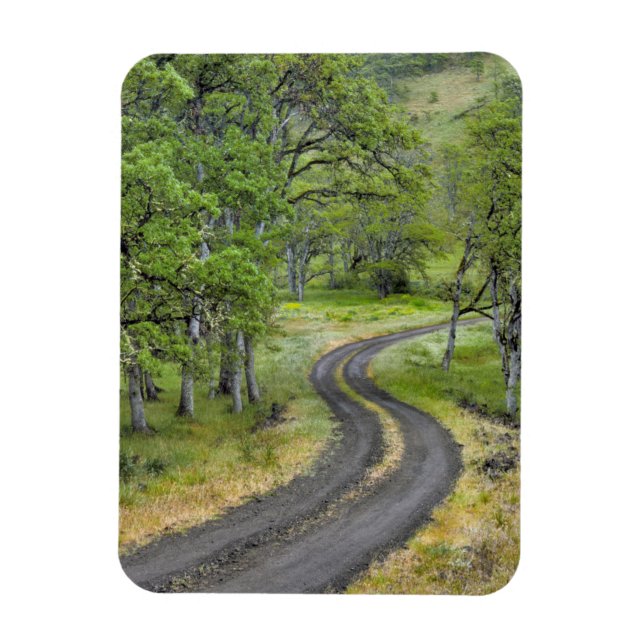 Country road through trees, Oregon Magnet (Vertical)