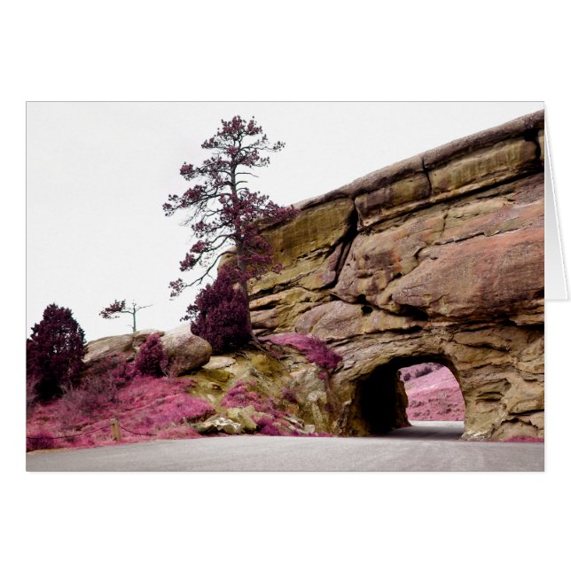 country road tunnel (Front Horizontal)