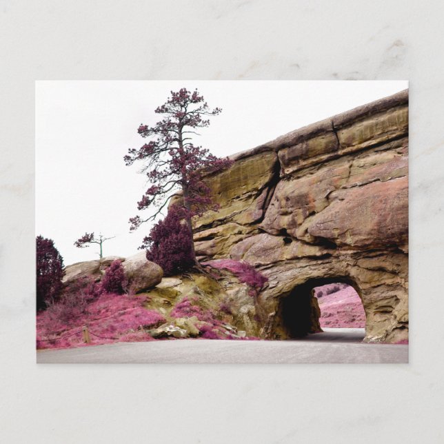 country road tunnel postcard (Front)