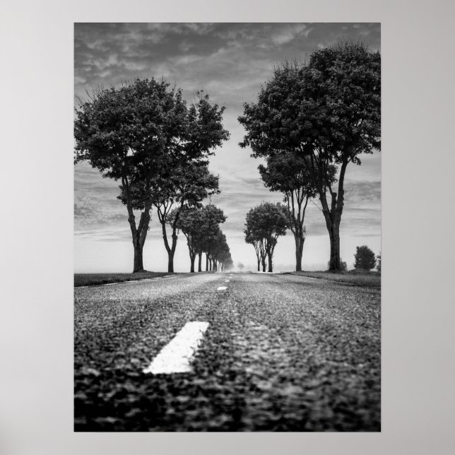 Country Road with Tree Lined Perspective Poster (Front)