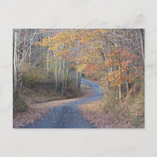Country Roads Postcard (Front)