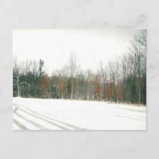 Country Roads Postcard