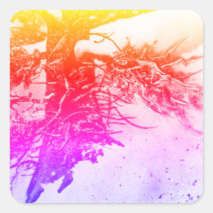 Country Roads rustic landscape and nature Sticker