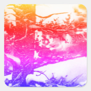 Country Roads rustic landscape and nature Sticker