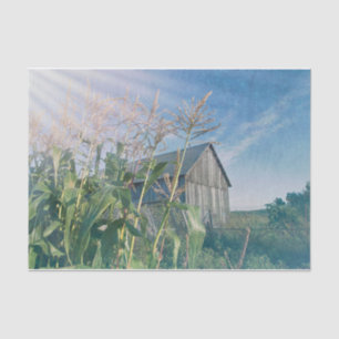 Country Rustic Barn Blue Sky Sun Rays Tissue Paper