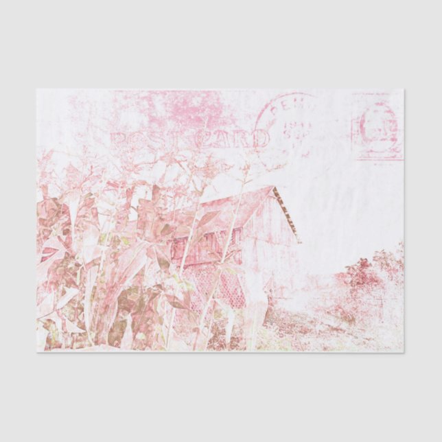 Country Rustic Barn White Brown Distressed Script Tissue Paper (Front)