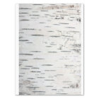 Country Rustic Birch Tree Bark