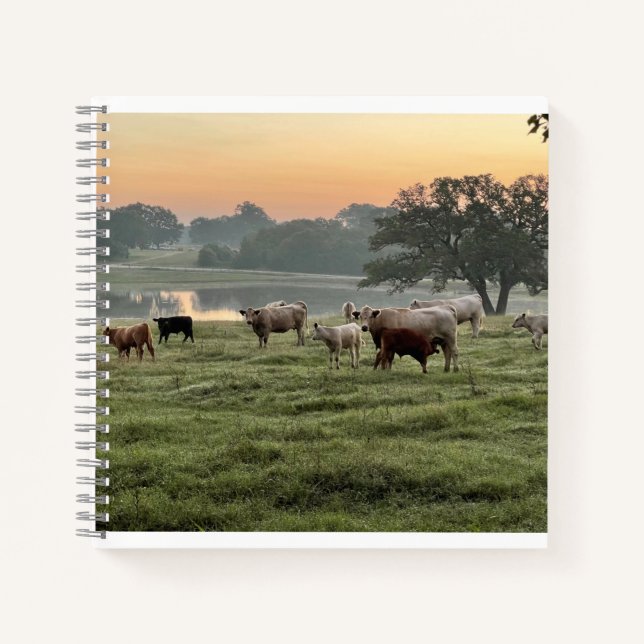 Country Scene Spiral Notebook (Front)