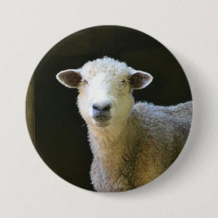Country Sheep 7.5 Cm Round Badge