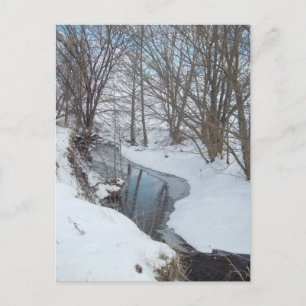 Country Snow Postcard