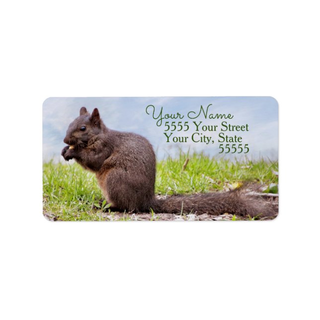 Country Squirrel Return Address Labels (Front)