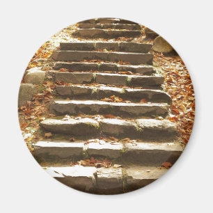 Country Stairway Magnet