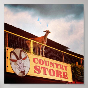 country store goat on the roof poster