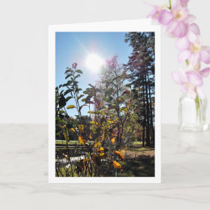 Country Summer Landscape Card