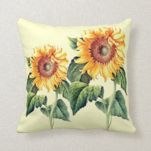 Country Sunflowers Vintage Summer Botanical Cushion
