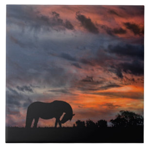 Country Sunrise Ceramic Tile